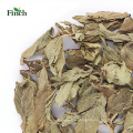 Finch New Arrival Herb Tea Dry Mint Whole Leaf